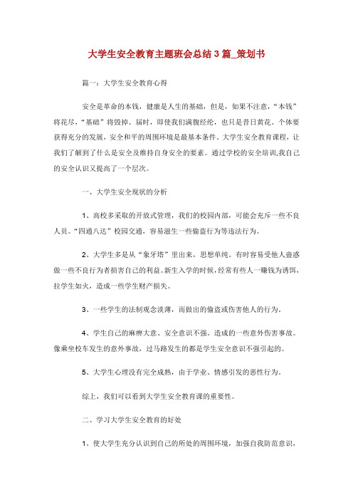 大学生安全教育主题班会总结3篇_策划书.doc