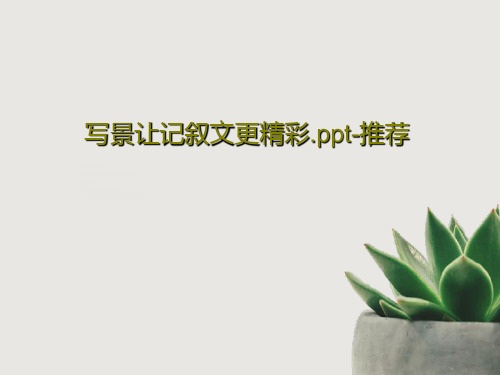 写景让记叙文更精彩.ppt-推荐22页PPT