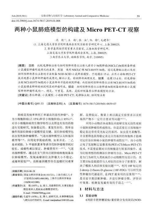 两种小鼠肺癌模型的构建及MicroPETCT观察