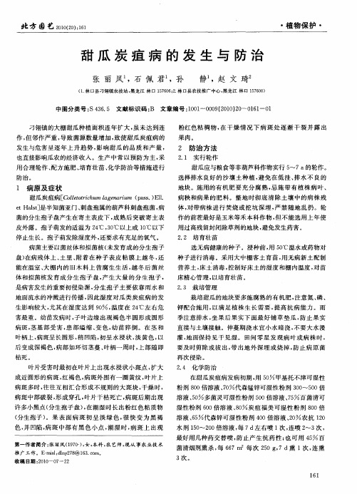 甜瓜炭疽病的发生与防治
