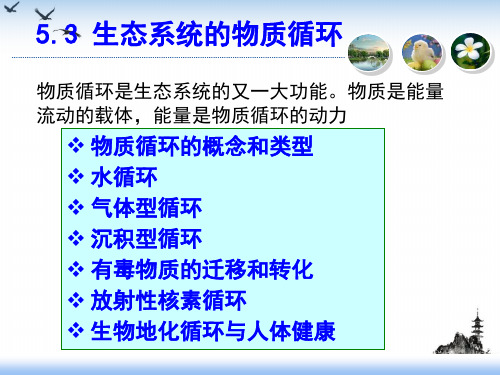 生态系统生态学物质循环PPT课件