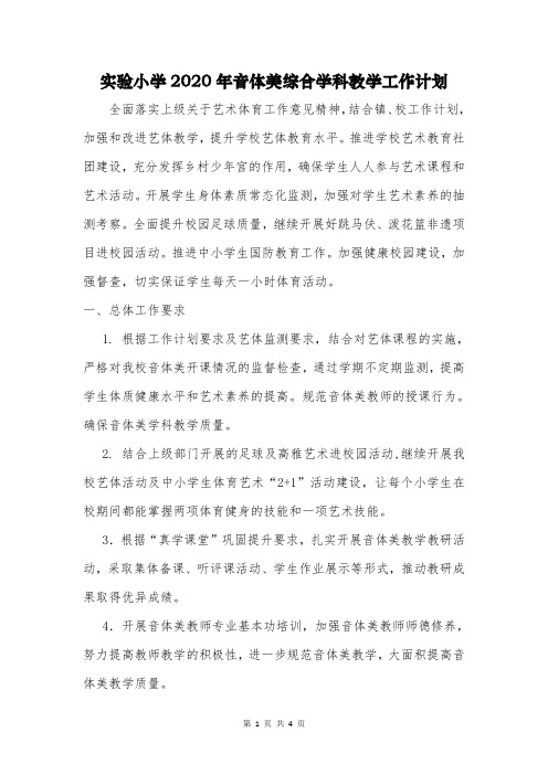 实验小学2020年音体美综合学科教学工作计划