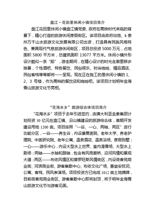 盘江镇《金海雪山.花田里》休闲小镇项目简介