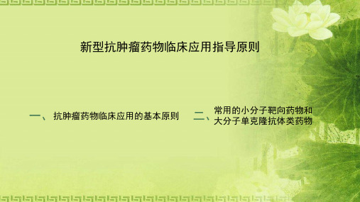 新型抗肿瘤药物临床应用指导原则