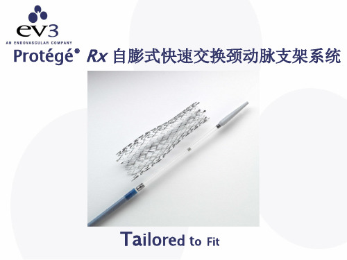 Protege RX产品介绍