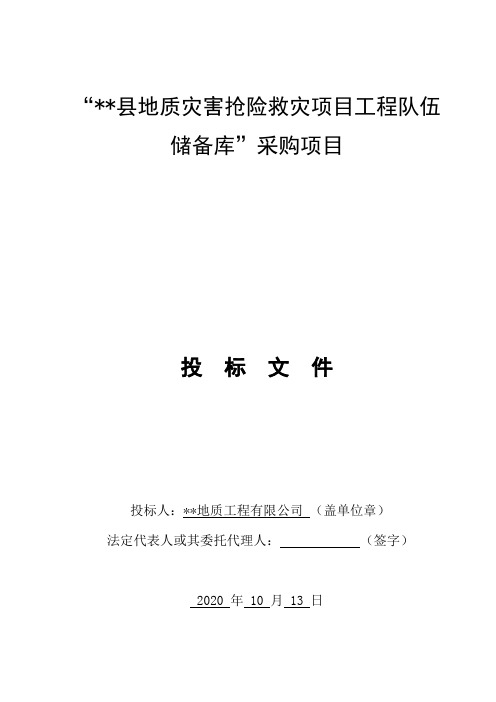 2020年地质灾害抢险救灾勘查队伍储备库入库技术标