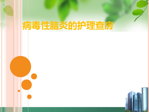 病毒性脑炎的护理查房