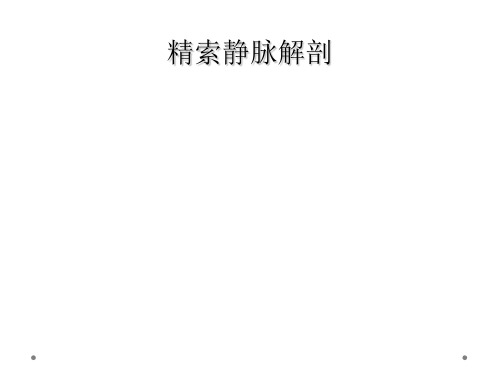 精索静脉解剖