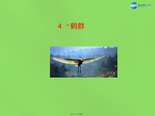 七年级语文下册 4 鹤群课件 语文版