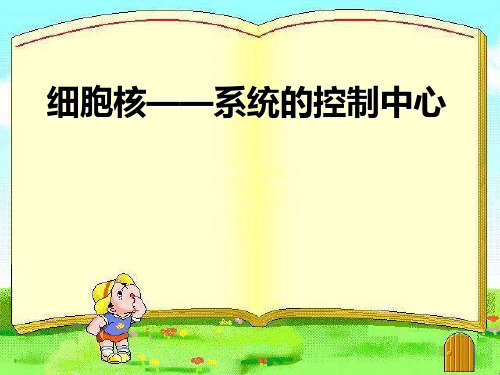 细胞核――系统的控制中心PPT课件
