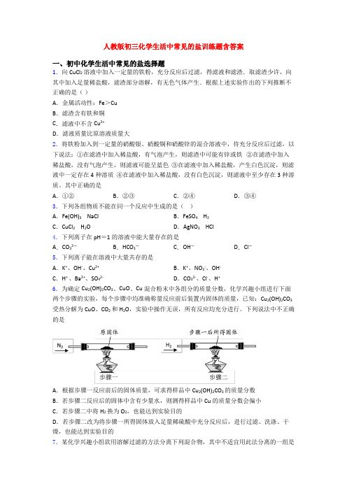 人教版初三化学生活中常见的盐训练题含答案