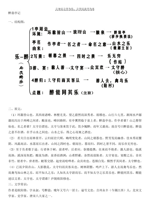 中考专项复习课内文言文醉翁亭记