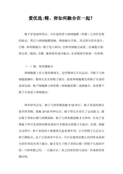 爱优选：精、卵如何融合在一起