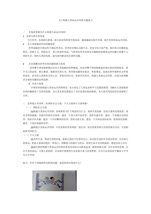 道德与法治九年下册构建人类命运共同体专题复习