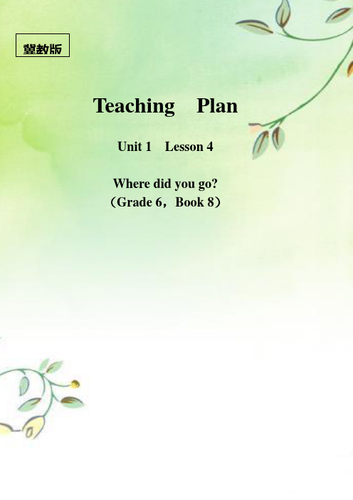 六年级下册英语教案-Unit 1 Lesson 4 Did You Have Fun｜冀教版(三起)