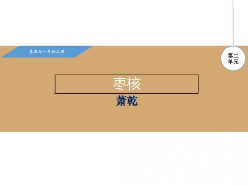新苏教版八年级语文上册课件5.枣核(共20张PPT)