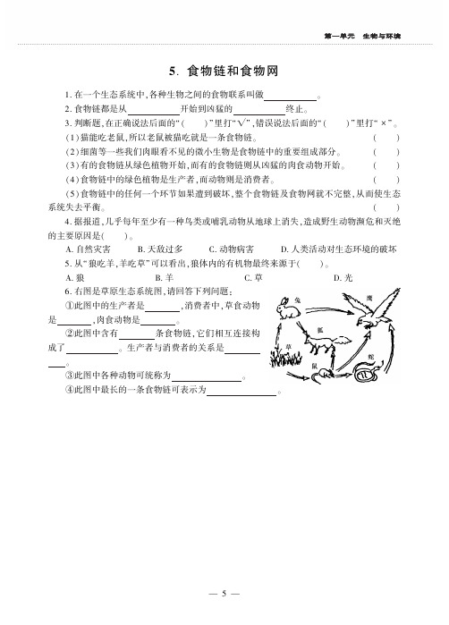 五年级上册科学试题第一单元58同步作业