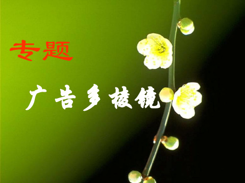 广告多棱镜PPT教学课件