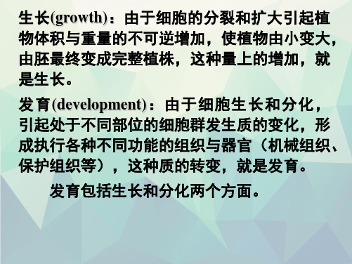 植物生理学植物的生长生理