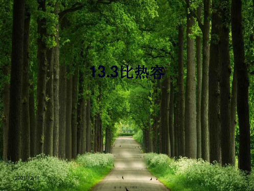 九年级物理全册 13.3比热容课件 