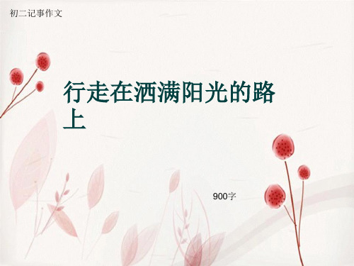 初二记事作文《行走在洒满阳光的路上》900字(总11页PPT)