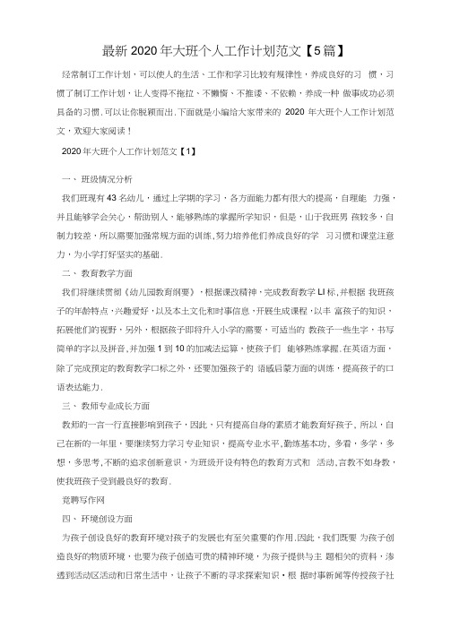 最新2020年大班个人工作计划范文【5篇】