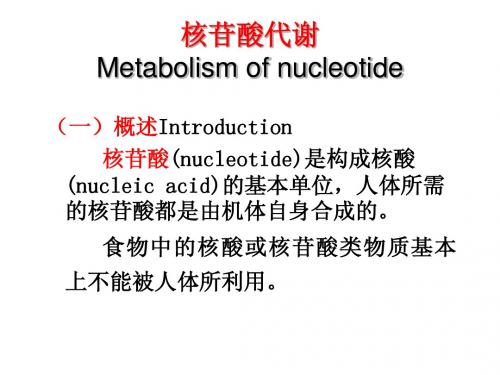 核苷酸代谢