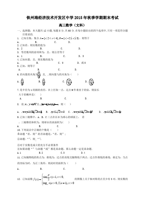 广西钦州市钦州港经济技术开发区中学高三上学期期末考