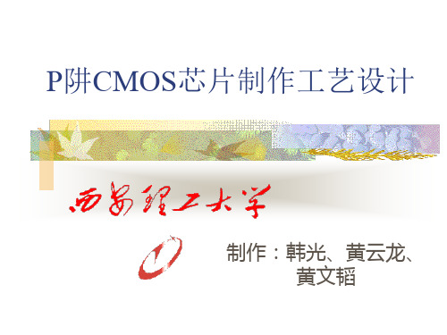 P阱CMOS芯片制作工艺设计资料