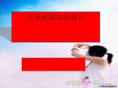 《汗液的形成和排出》教学课件 济南版