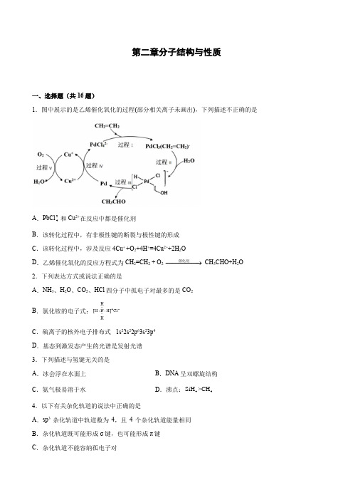 第二章分子结构与性质-(同步练习) 高中化学人教版(2019)选择性必修2