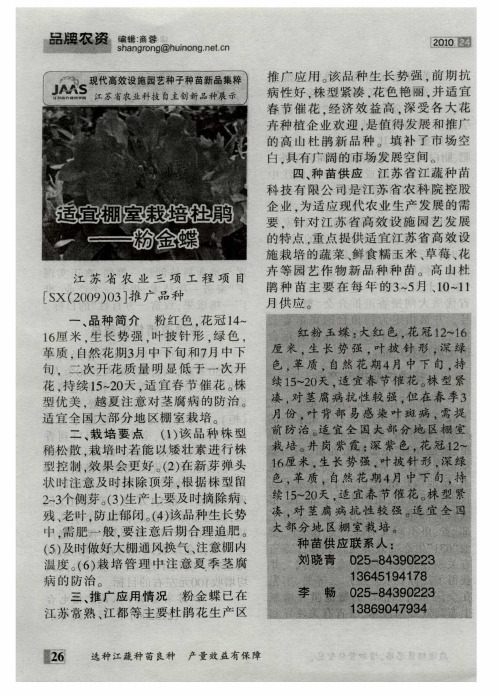 适宜棚室栽培杜鹃——粉金蝶