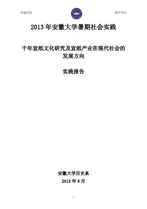 2013年安徽大学暑期社会实践报告