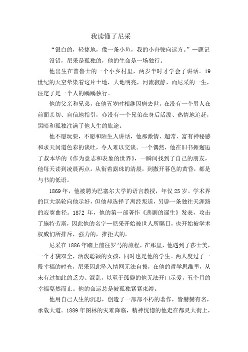 我读懂了尼采