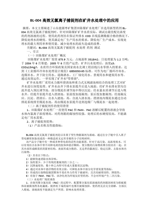 BL-004高效无氯离子捕捉剂在矿井水处理中的应用