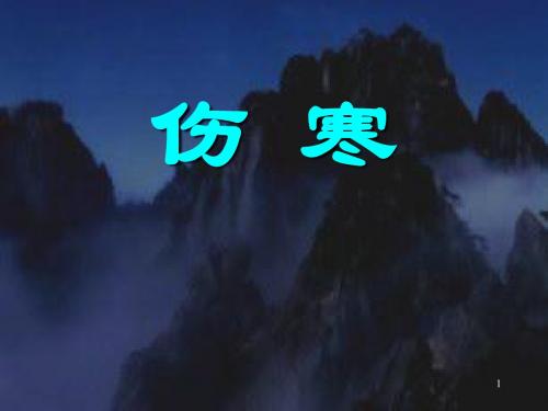 伤寒2
