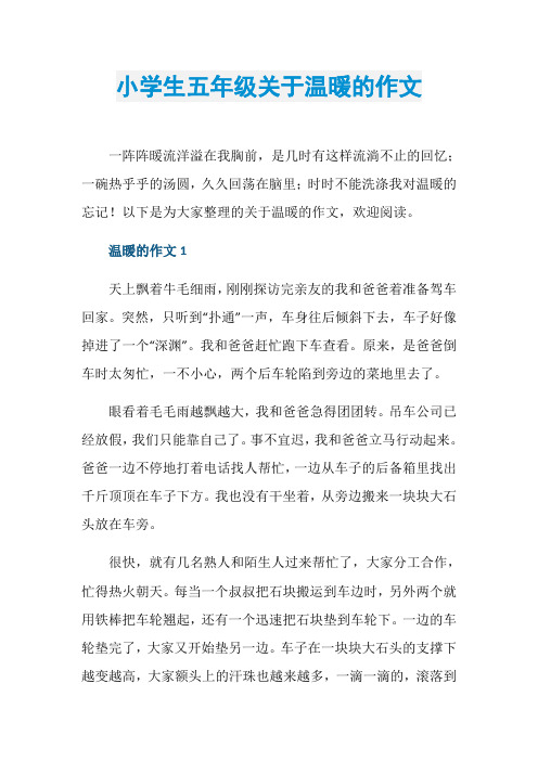小学生五年级关于温暖的作文
