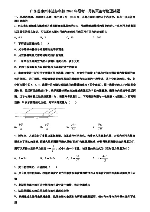 广东省惠州市达标名校2020年高考一月仿真备考物理试题含解析