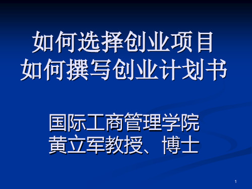 如何选择创业项目(精选PPT)