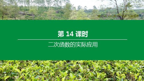 中考数学复习第三单元函数及其图象第14课时二次函数的实际应用