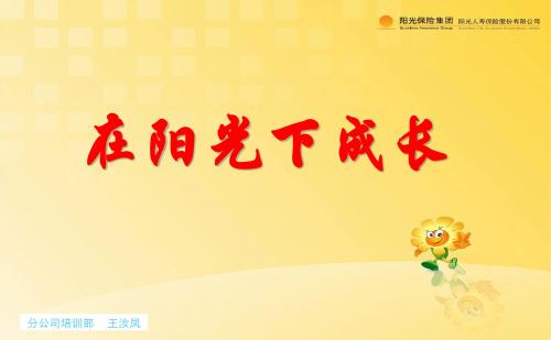 课件2：在阳光下成长(基本法)