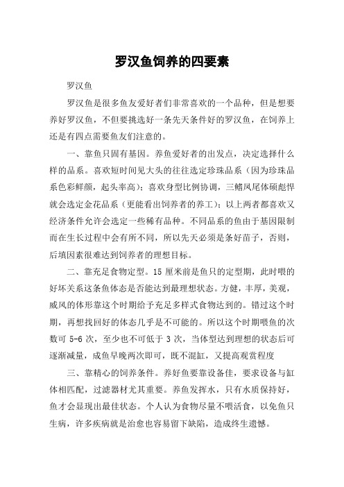 罗汉鱼饲养的四要素
