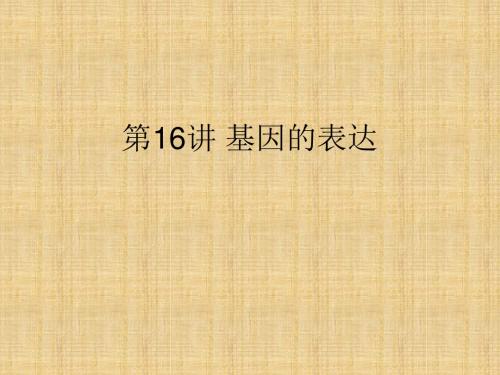 高考生物一轮复习第一部分第五单元遗传的分子基础第16讲基因的表达名师课件新人教版