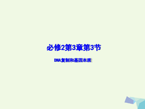 高中生物第三章基因的本质33DNA的复制课件提升版新人教版必修2