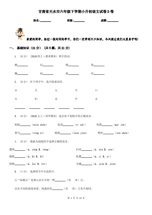 甘肃省天水市六年级下学期小升初语文试卷D卷