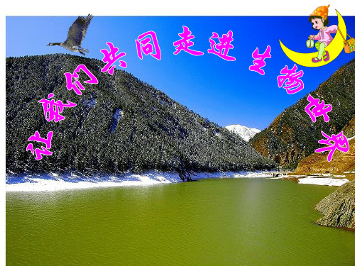 血液及血液循环PPT课件