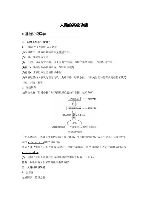 中图版 必修三 人脑的高级功能 学案
