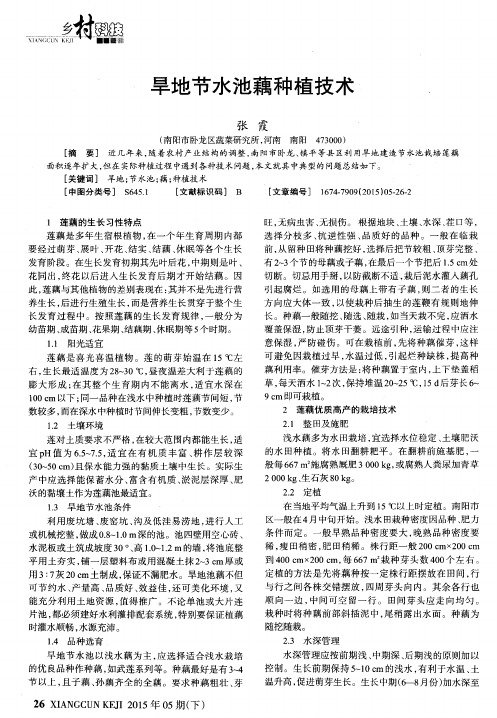 旱地节水池藕种植技术