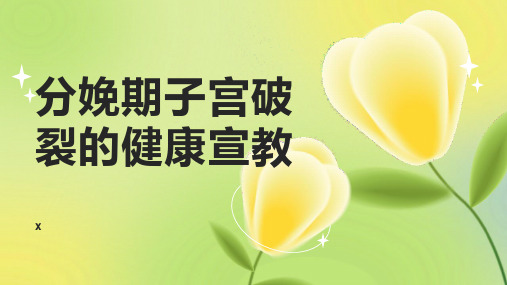 分娩期子宫破裂的健康宣教