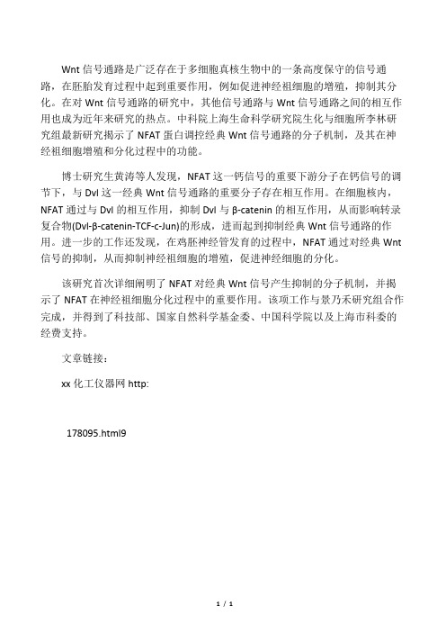 wnt信号通路